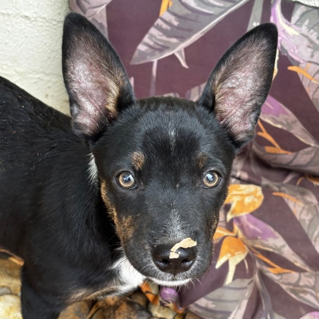 Photo of Slider