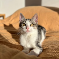 Photo of Martin