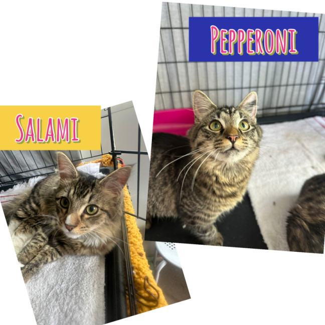 Photo of Salami & Pepperoni 