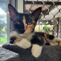 Photo of Lucy