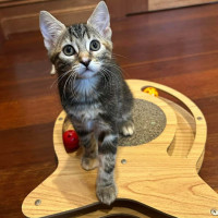 Photo of Little Miss Spink 🌺🌼🌹