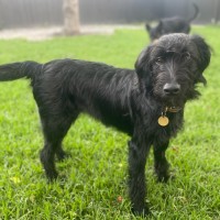 Photo of Ronnie Corbett