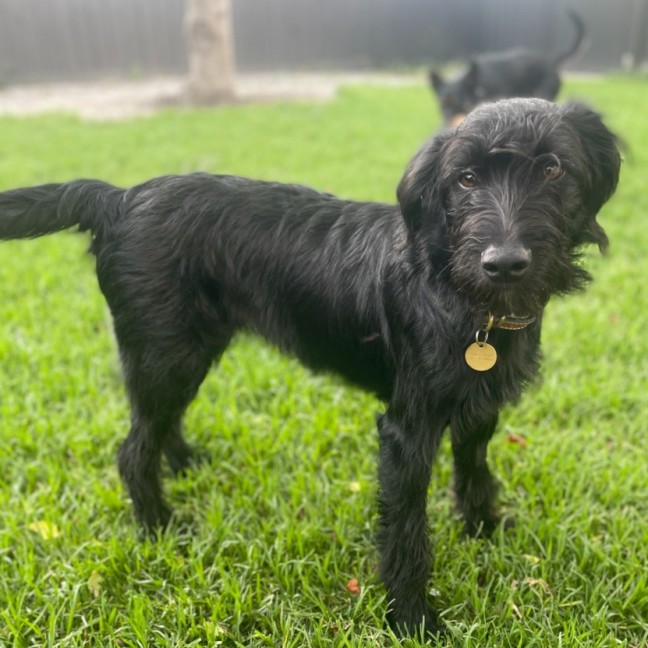 Photo of Ronnie Corbett