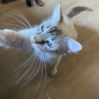 Photo of Hadley 🩷