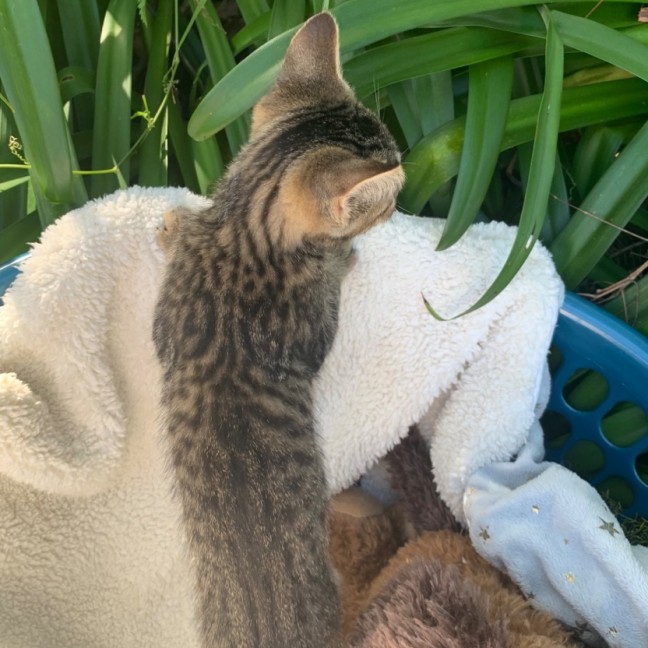 Photo of Isla💕💕💕