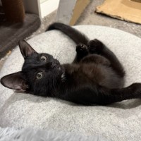 Photo of Bruce