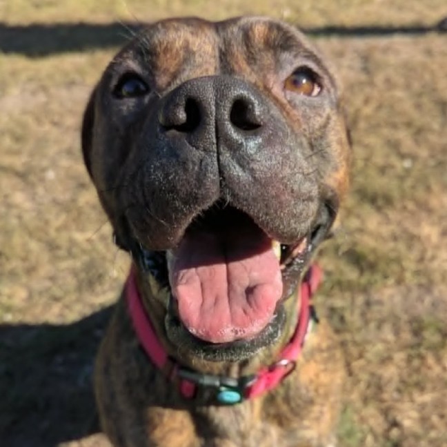 Photo of Winnie