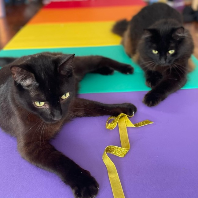 Photo of Frankie & Billie