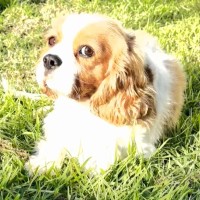 Photo of Ruth
