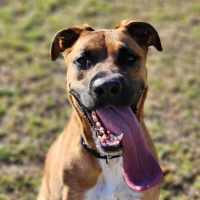 Photo of 🌹 Rose 6167 🌹