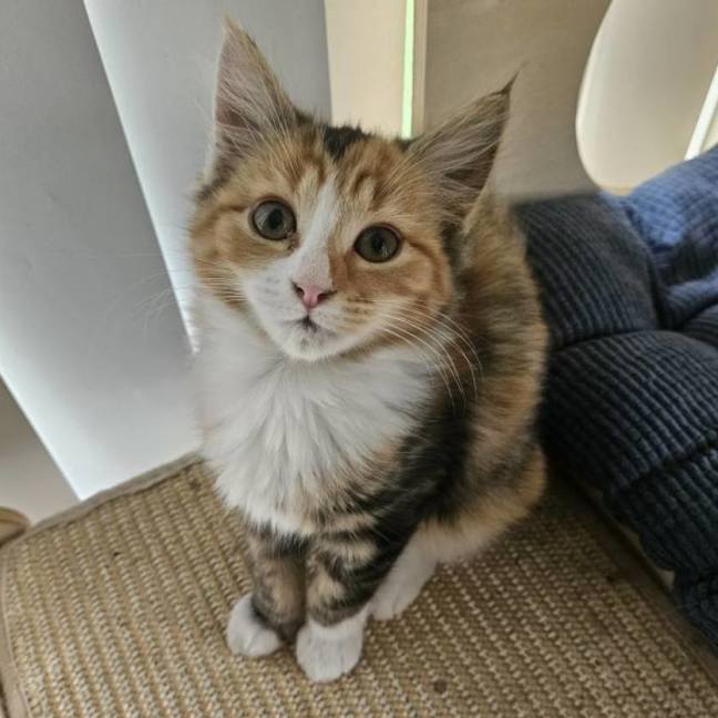 Photo of Mia