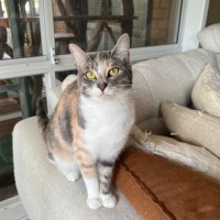 Photo of Luna