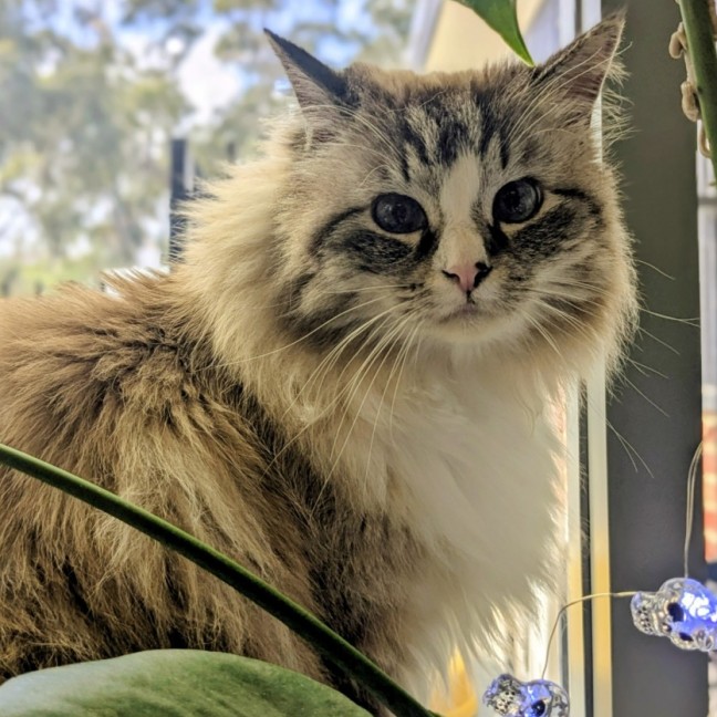 Photo of 🥂 Kiki 6409 🥂