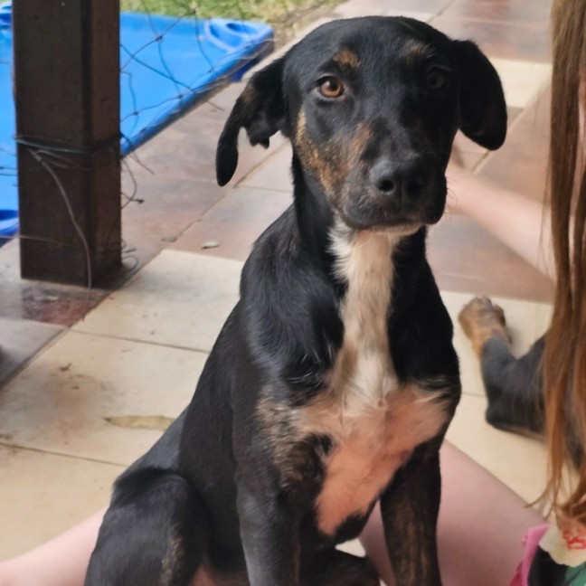 Photo of Ruby