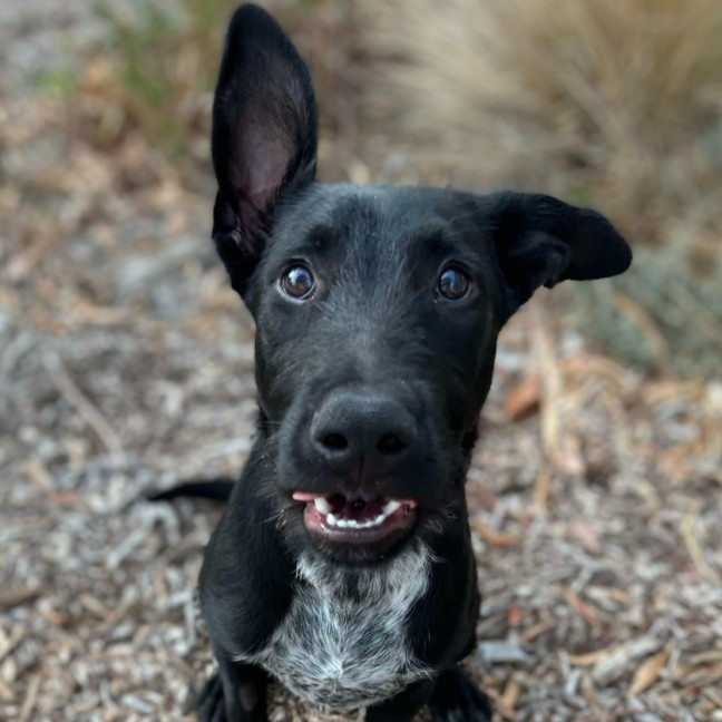 Photo of 🌱 Barnaby 5938 🌱