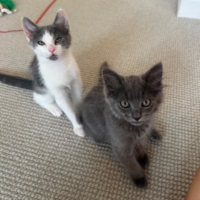 Photo of Magnus And Atlas