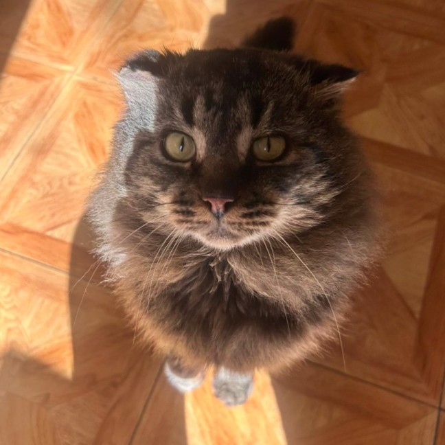 Photo of Leo