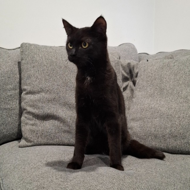 Photo of Winston