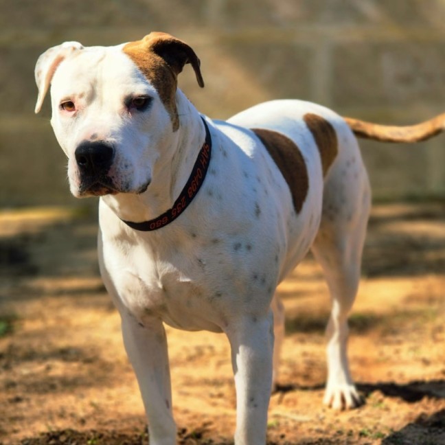 Photo of Holly