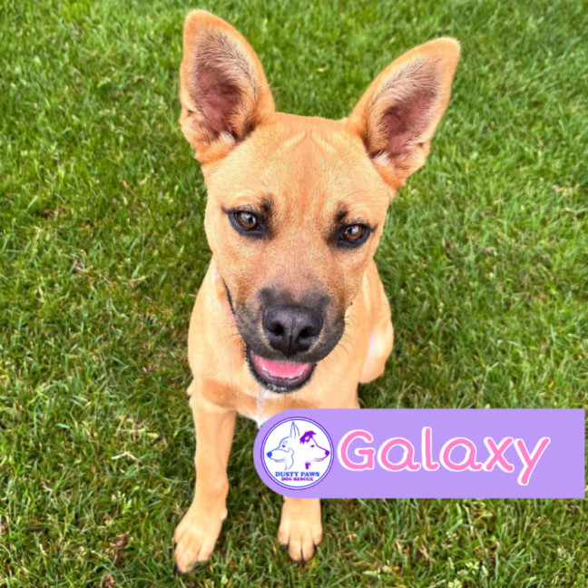 Photo of Galaxy 