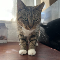 Photo of Miss Brown