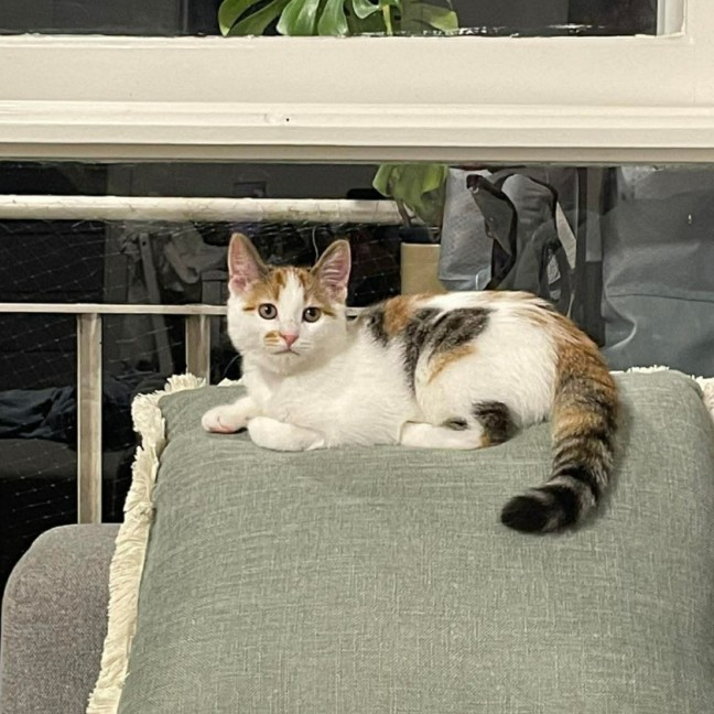 Photo of Zoey