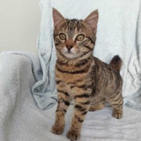 Photo of Willow 🌱