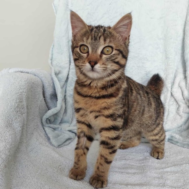 Photo of Willow 🌱