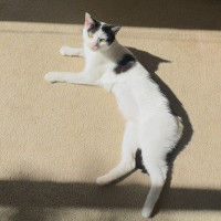 Photo of Ariana Grande