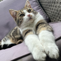 Photo of Neeko & Mira 💙🌷