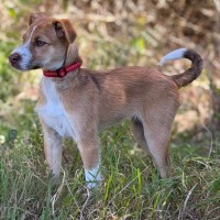 Photo of Soxy