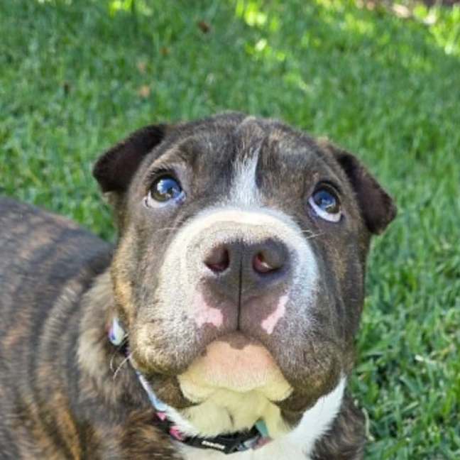 Photo of Chloe
