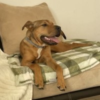 Photo of Prudence