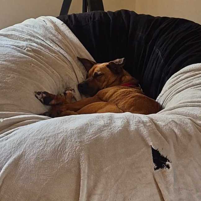 Photo of Athena
