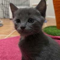 Photo of Jack