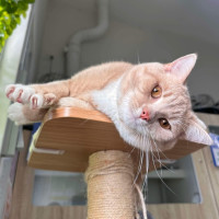 Photo of 🥞 Rupert 5644 🥞