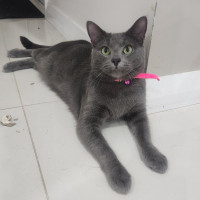 Photo of Maverick