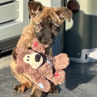 Photo of Betty 🎾🌹