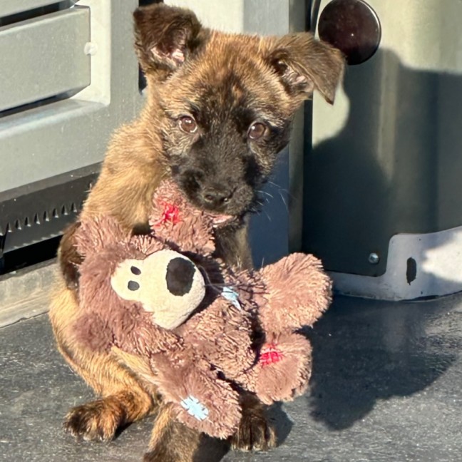 Photo of Betty 🎾🌹