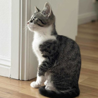 Photo of Freckle And Daffodil