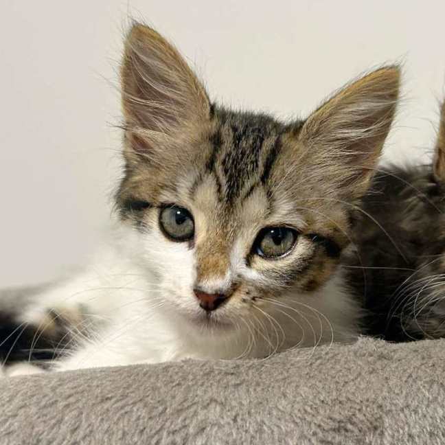 Photo of Maya And Lotti