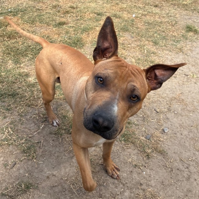 Photo of Zeus 