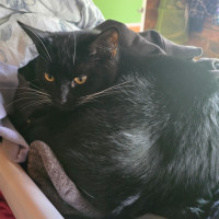 Photo of Nevie