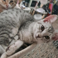 Photo of Osha & Rosemary