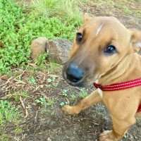 Photo of Hazel
