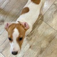 Photo of Spots