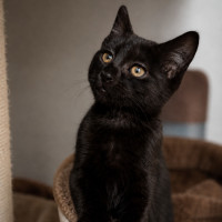 Photo of Ella