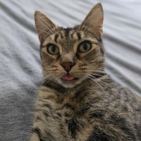 Photo of Tabitha