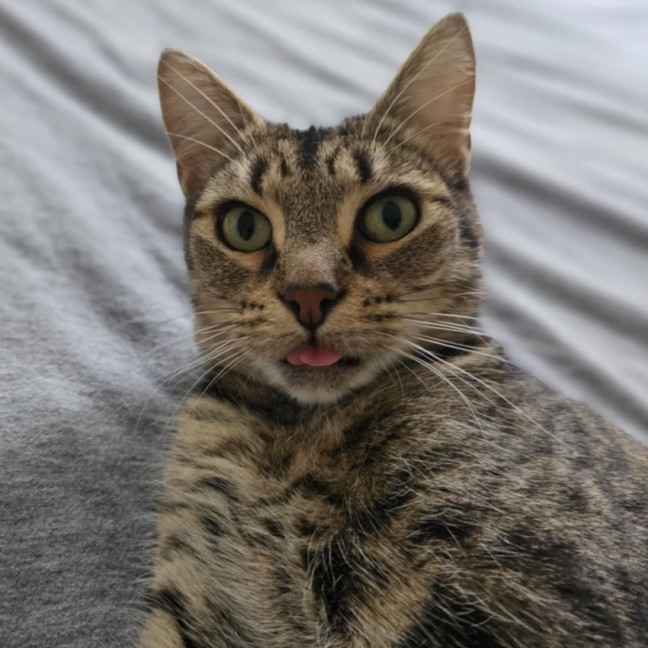 Photo of Tabitha