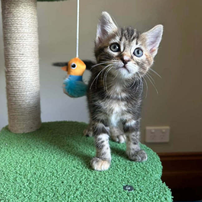 Photo of Little Miss Spink 🌺🌼🌹